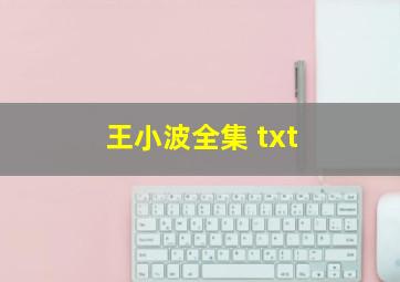 王小波全集 txt